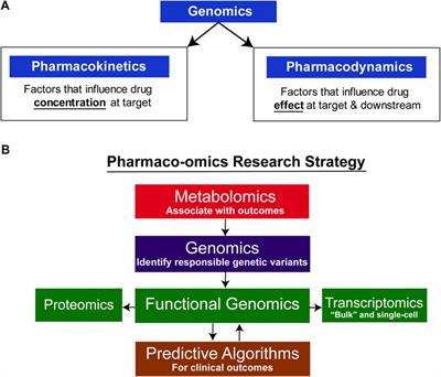 Selective Serotonin Reuptake Inhibitor Pharmaco-Omics: Mechanisms and Prediction